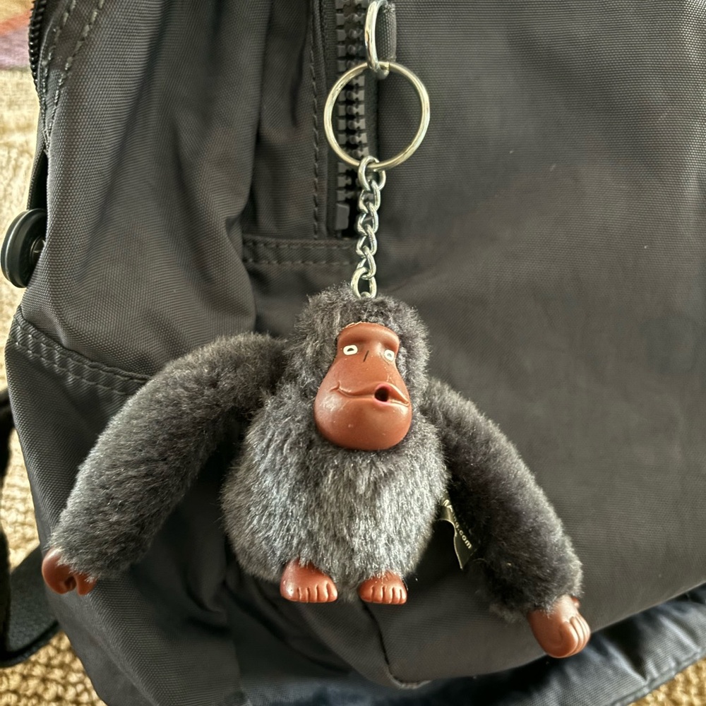 Kipling Backpack - image 6